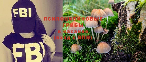 ECSTASY Абдулино