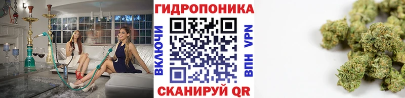 Марихуана индика  Заволжье 